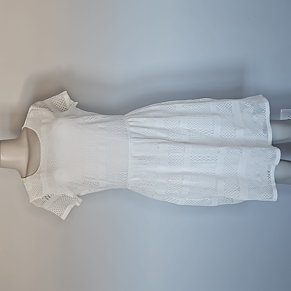 Ann Taylor Dresses & Skirts - Ann Taylor off white perforated lined dress-8